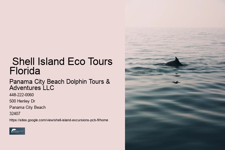  Shell Island Eco Tours Florida