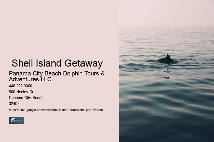  Shell Island Getaway