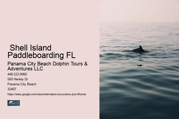  Shell Island Paddleboarding FL