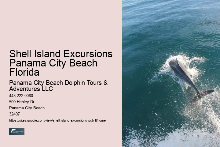  City Beach Dolphin